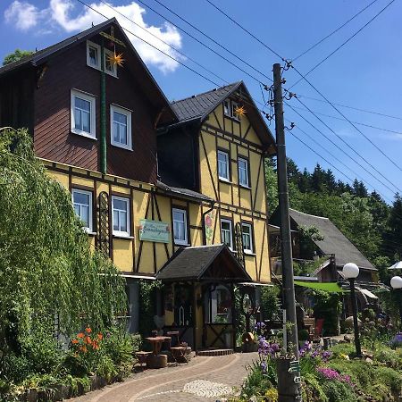 Haus Rennsteigrose Apartment Steinheid Ngoại thất bức ảnh